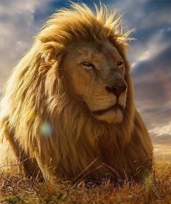 Con sư tử dũng mãnh