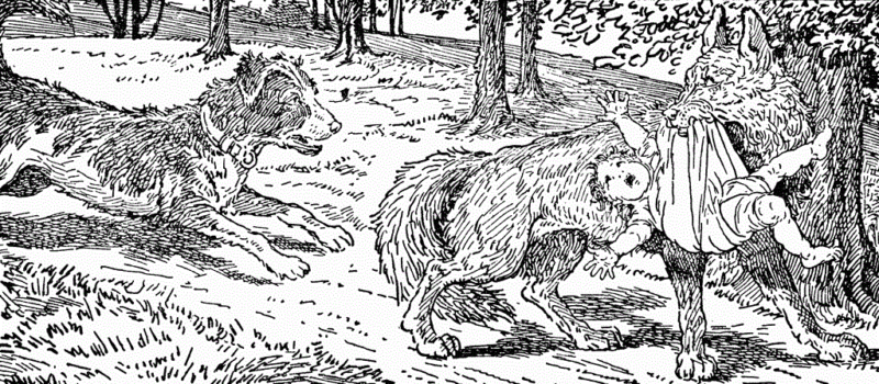 Chó Sultan trung thành