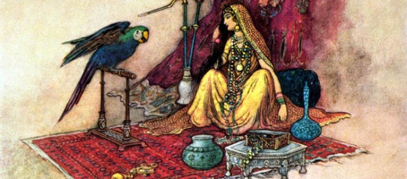 Người Chồng Và Con Vẹt