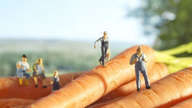 Người tí hon trong lòng đất